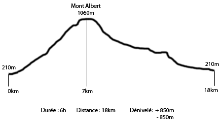 Parc de Gaspésie - Profil du Mont Albert