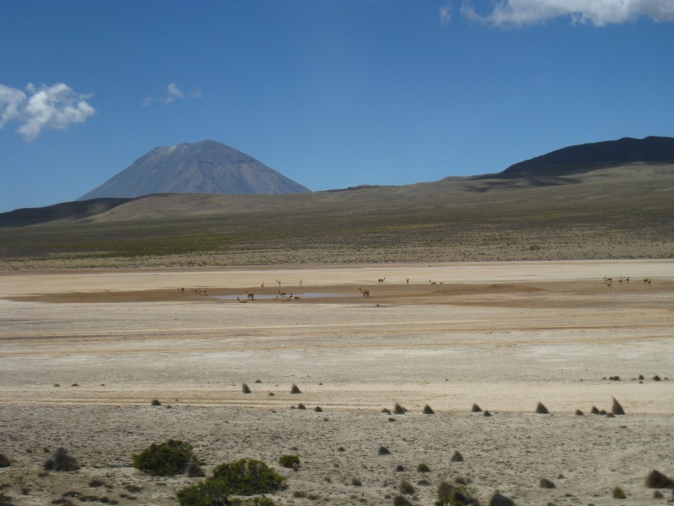Alentours d'Arequipa - Pérou