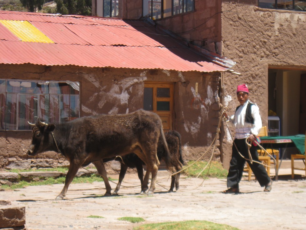 Taquile - Lac Titicaca - Pérou