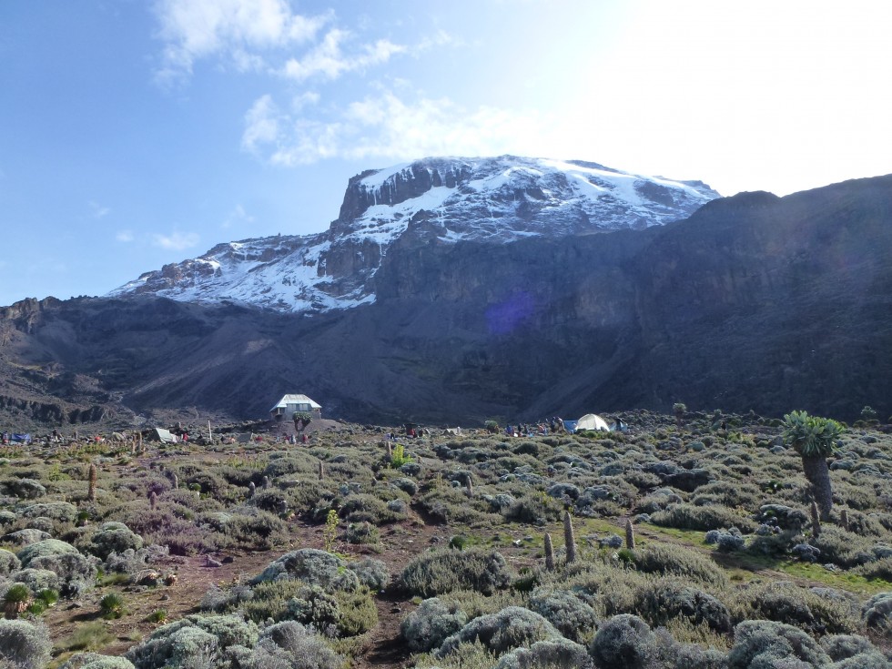 Vue sur le Kili depuis Barranco Hut (3940m)