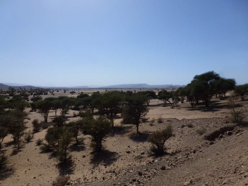 Désert entre Alnif et Zagora - Maroc