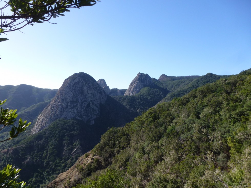 Parc national de Garajonay, La Gomera - Canaries