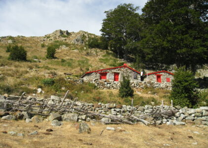 De Vizzavona au refuge d’E Capannelle