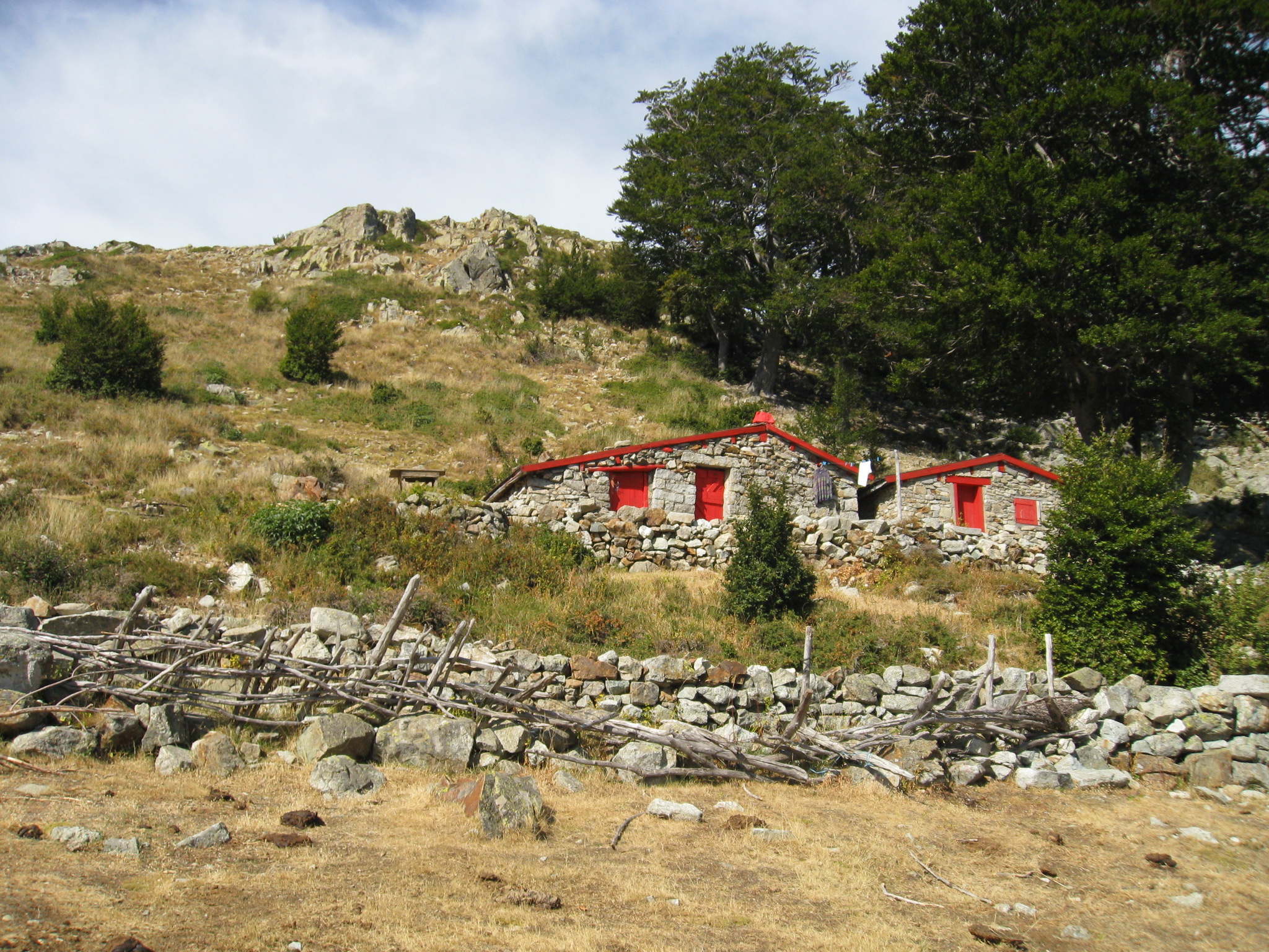 De Vizzavona au refuge d’E Capannelle