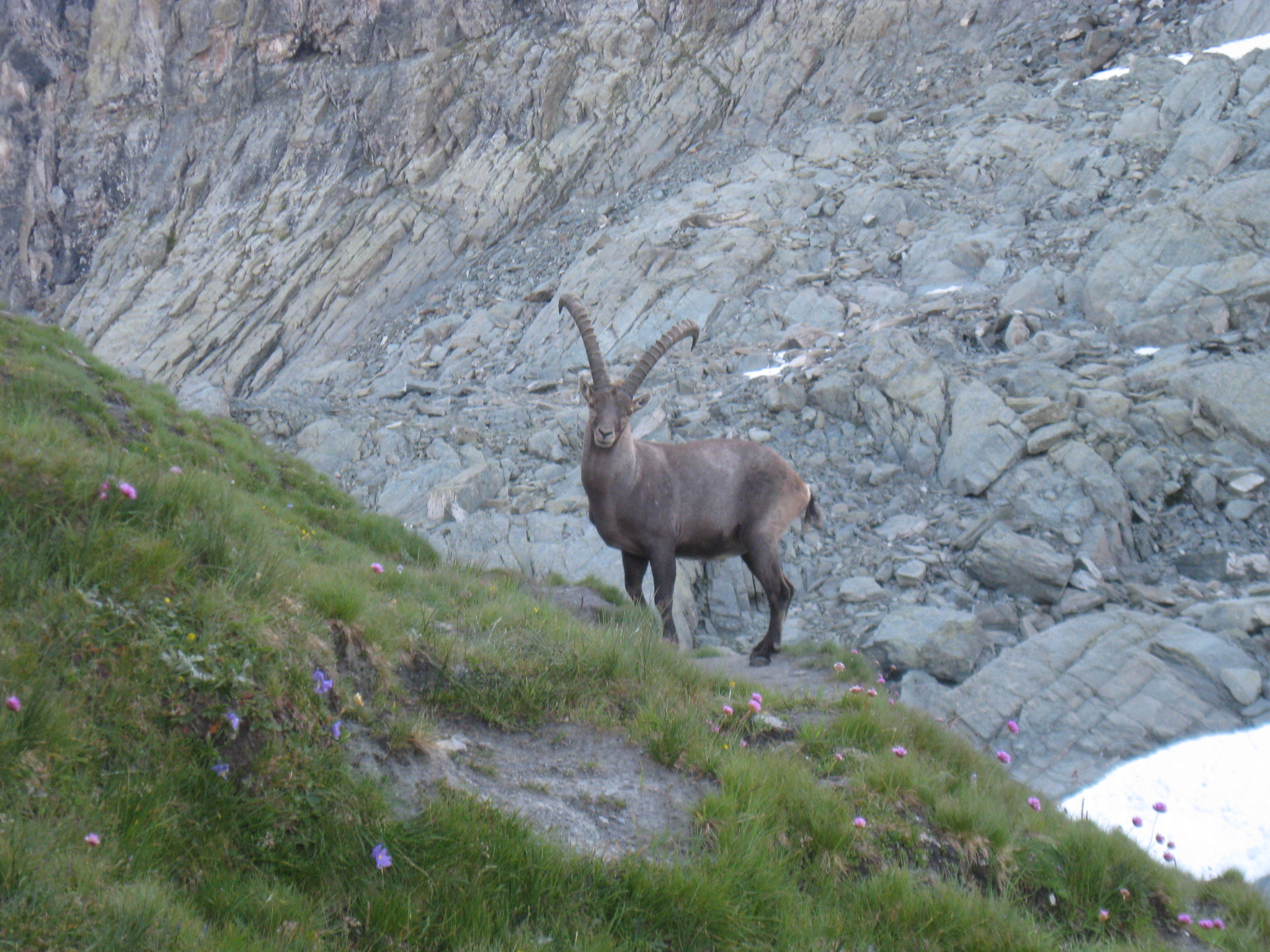 Du refuge Vallanta à L’Echalp