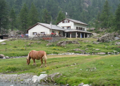 Viso – Côté pratique