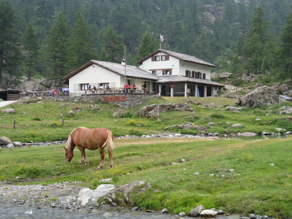 Refuge Barbara Lowrie