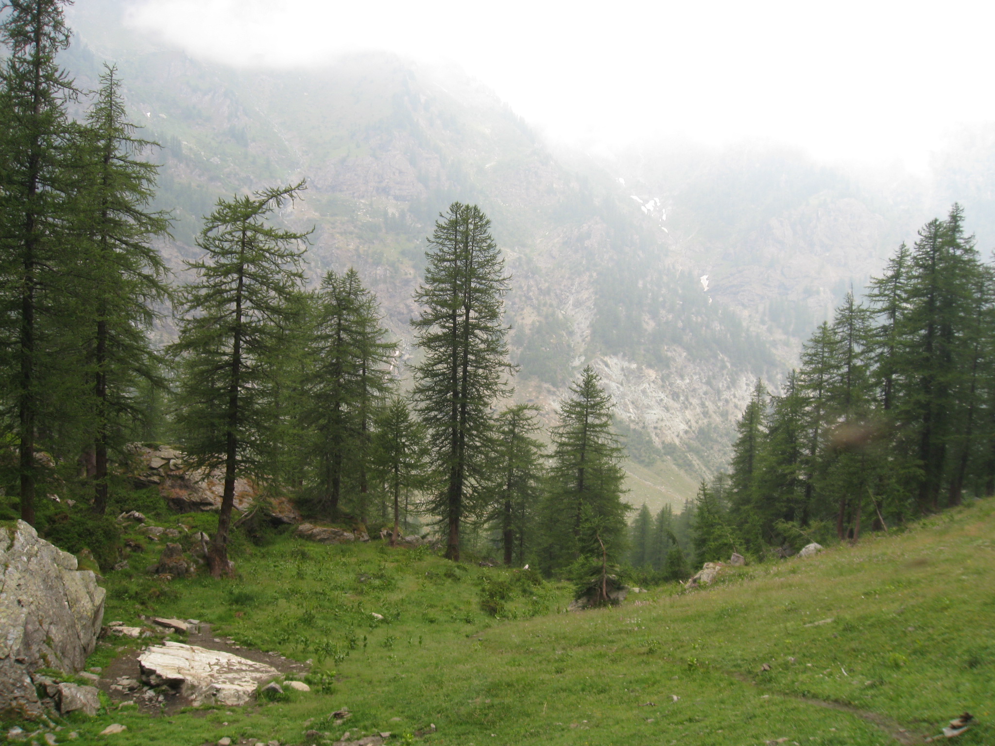 Du refuge Barbara Lowrie au refuge de Pian del Re