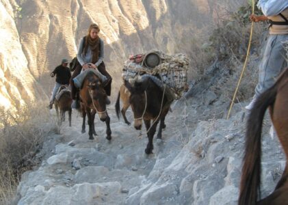 De retour en haut du canyon