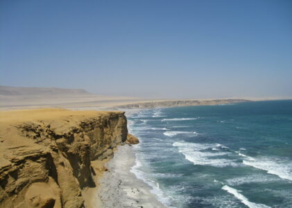 Entre pingouins et désert