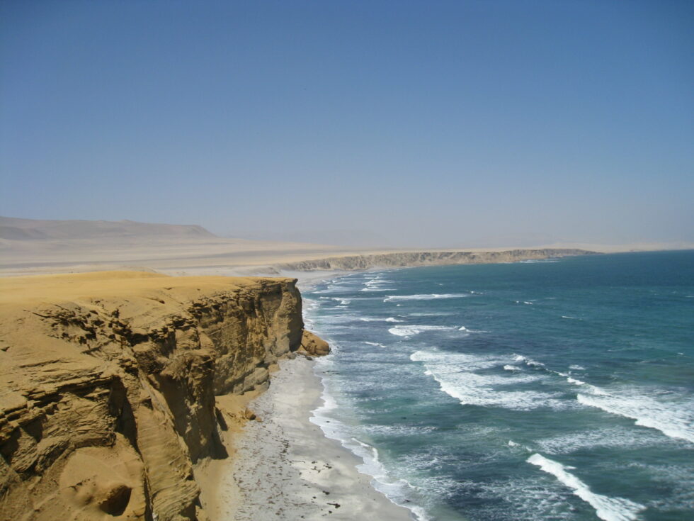 Réserve de Paracas