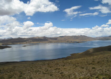 Quand bus rime avec agitation