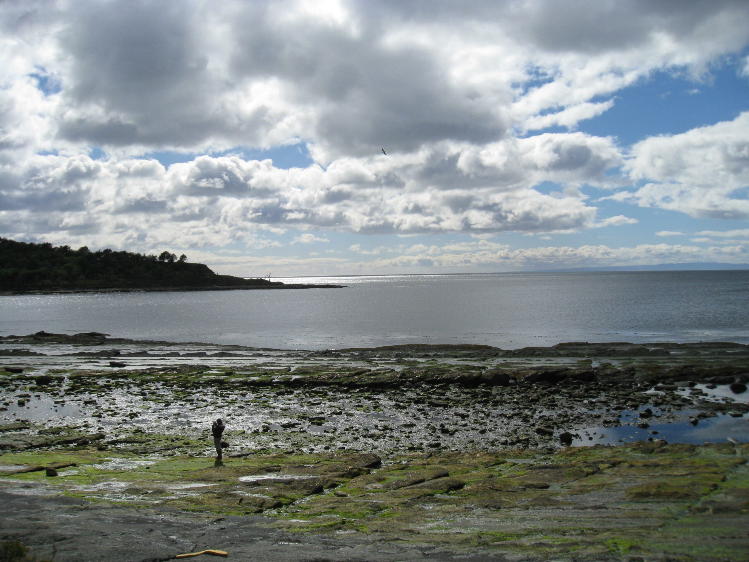 Le détroit de Magellan