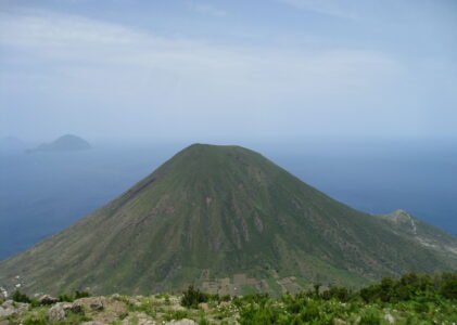 Satanés serpents de Salina