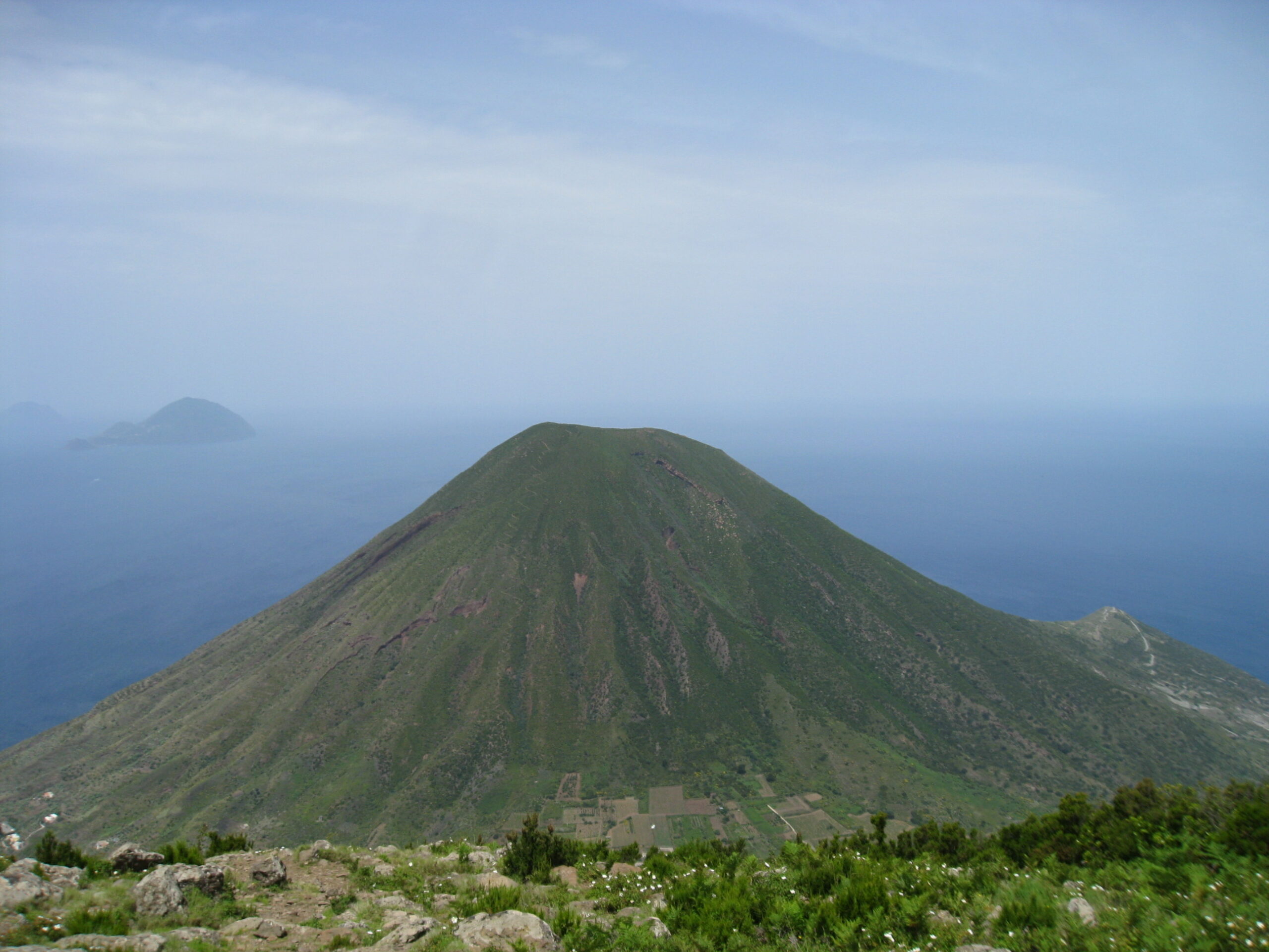 Satanés serpents de Salina
