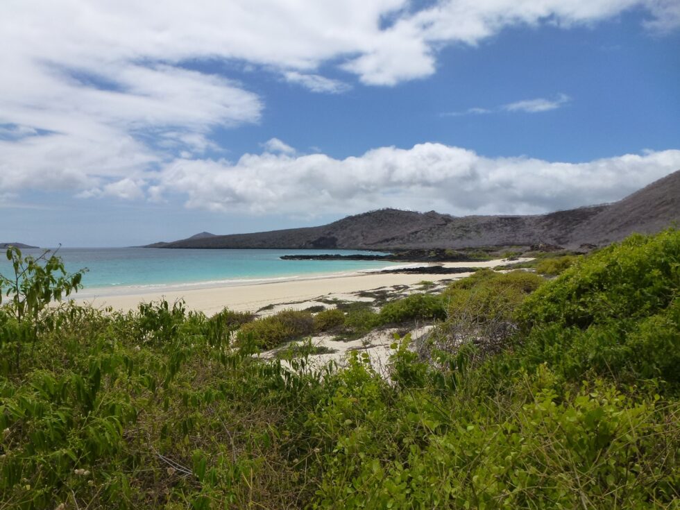 Floreana, Galapagos, Equateur