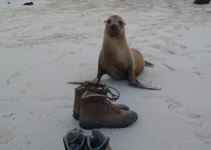 De Plaza Sur à Santa Fé… que de merveilles