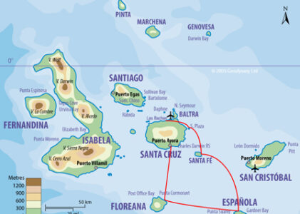 Premières rencontres aux Galapagos