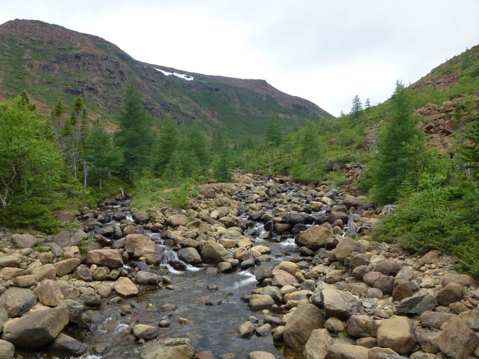 Mont Albert, Parc de Gaspésie, Québec, Canada