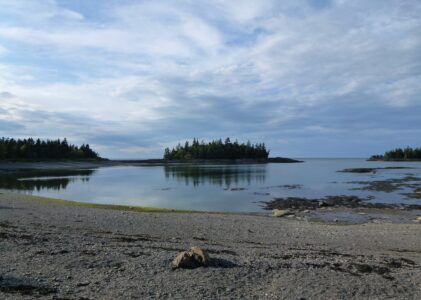 Parc national du Bic