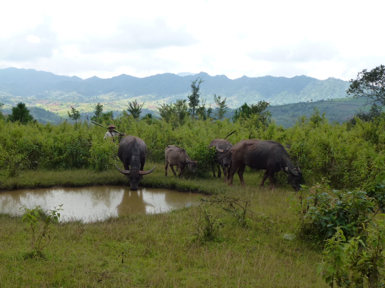 A travers les villages du lac Inle