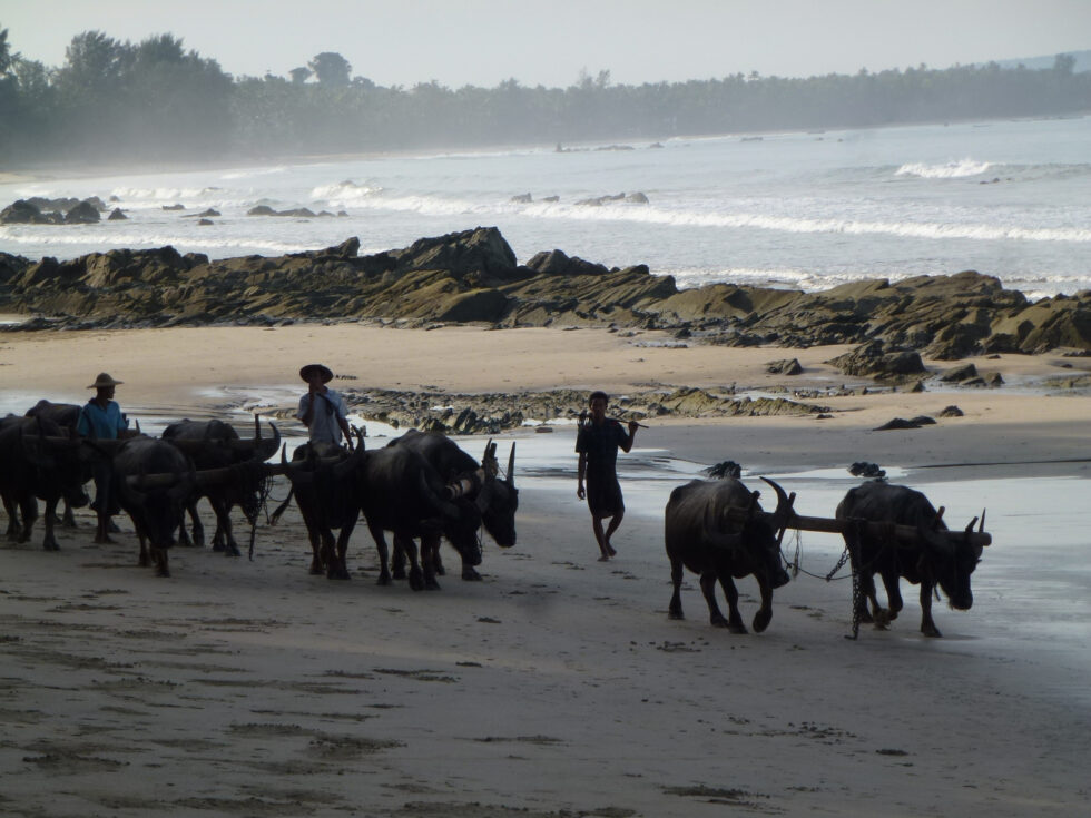 Ngapali, Myanmar, Birmanie