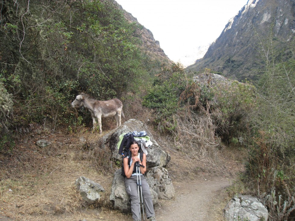 Col de la femme morte - Camino Inca - Pérou