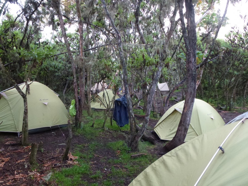 Camp à Machame Hut (3000m)
