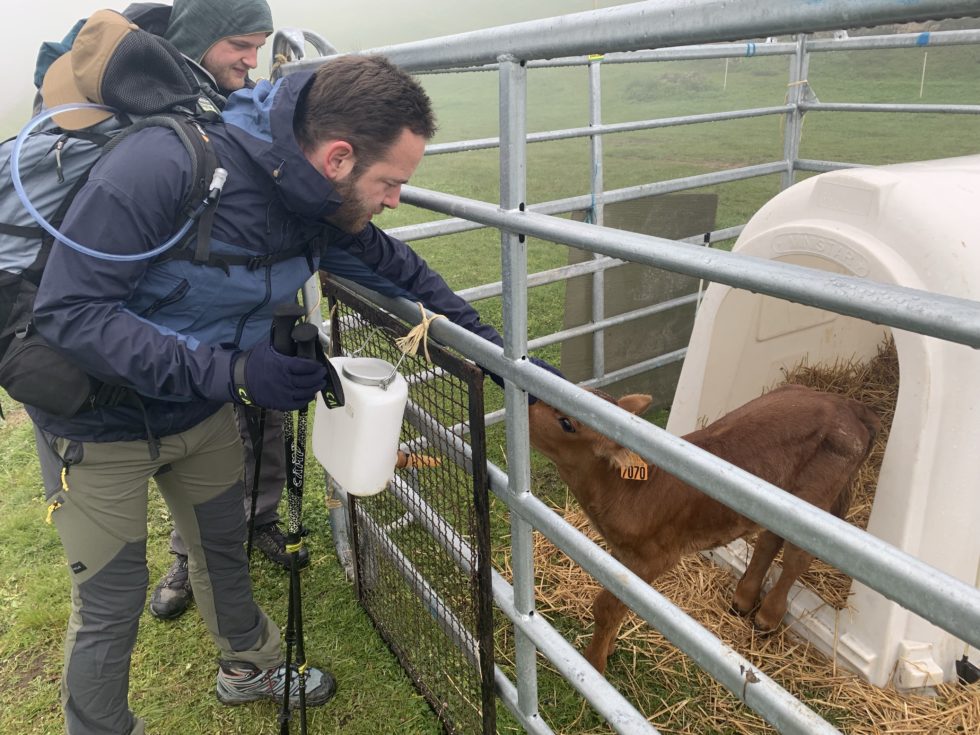 Bellecombe, Haute-Maurienne, Alpes, France