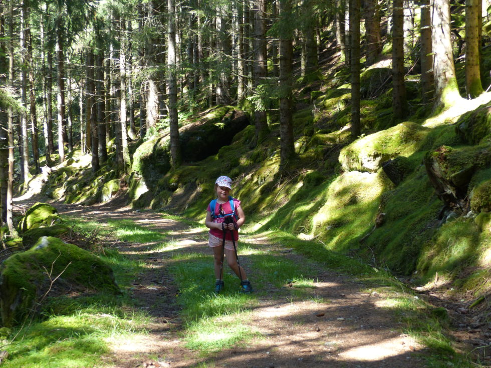 Ulvik - Jobykset, Fjord, Norvège