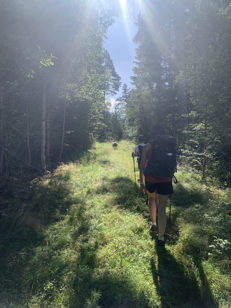 Jobykset, Ulvik, Fjords, Norvège