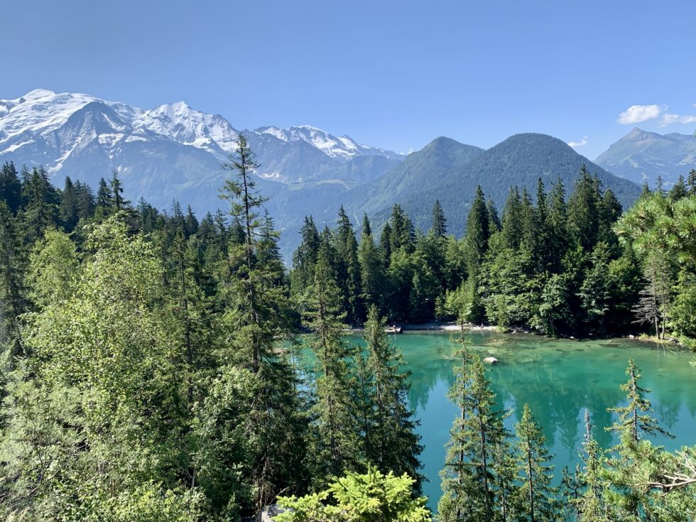 Lac Vert, Plaine Joux, Alpes, France
