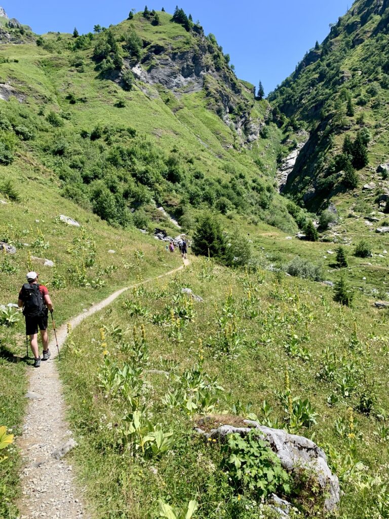 Lac Vert, Col d'Anterne, Alpes, France