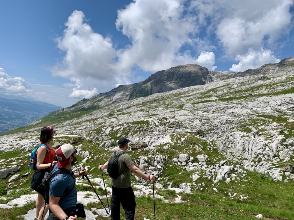Lapiaz, Forts de Platé, Fiz, Alpes, France