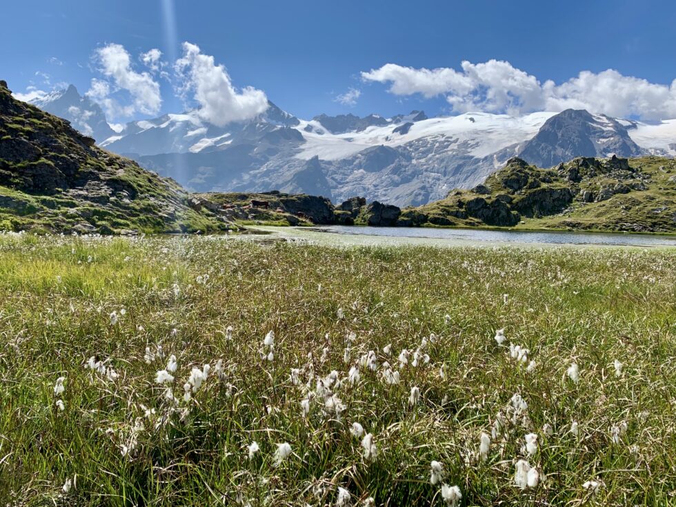 Lac Lérié, La Meije, Plateau d'Emparis, Oisans, Les Alpes, France