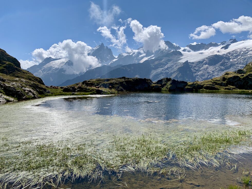 Lac Lérié, La Meije, Plateau d'Emparis, Oisans, Les Alpes, France