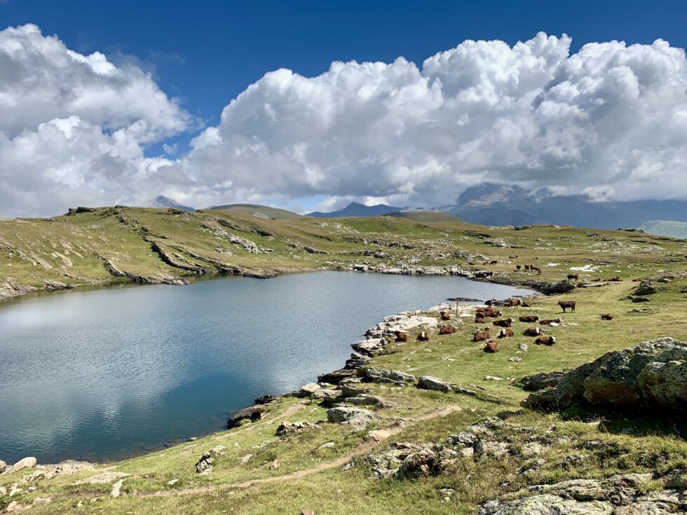 Lac Noir, Plateau d'Emparis, Oisans, Les Alpes, France