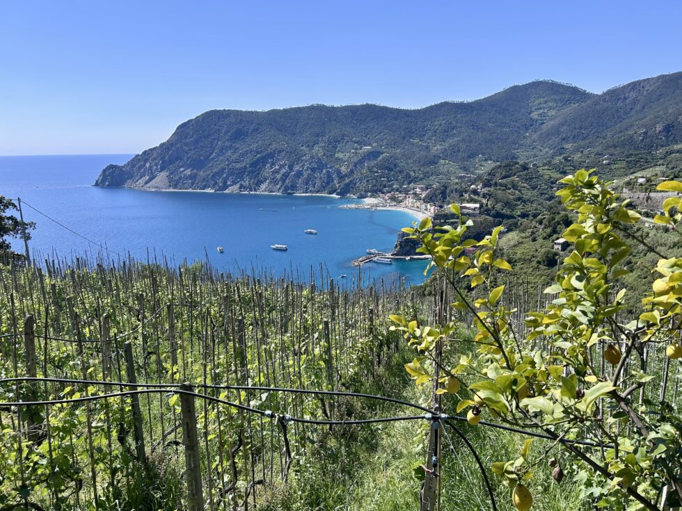 Monterosso, Vernazza, Cinque Terre, Italie