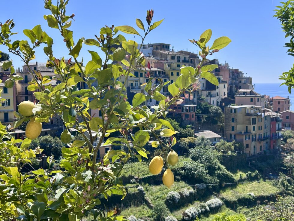 Corniglia, Cinque Terre, Italie
