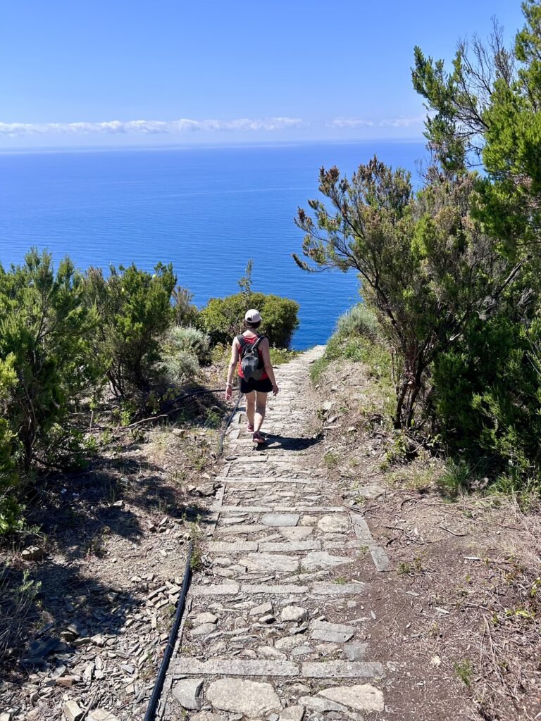 Monesteroli