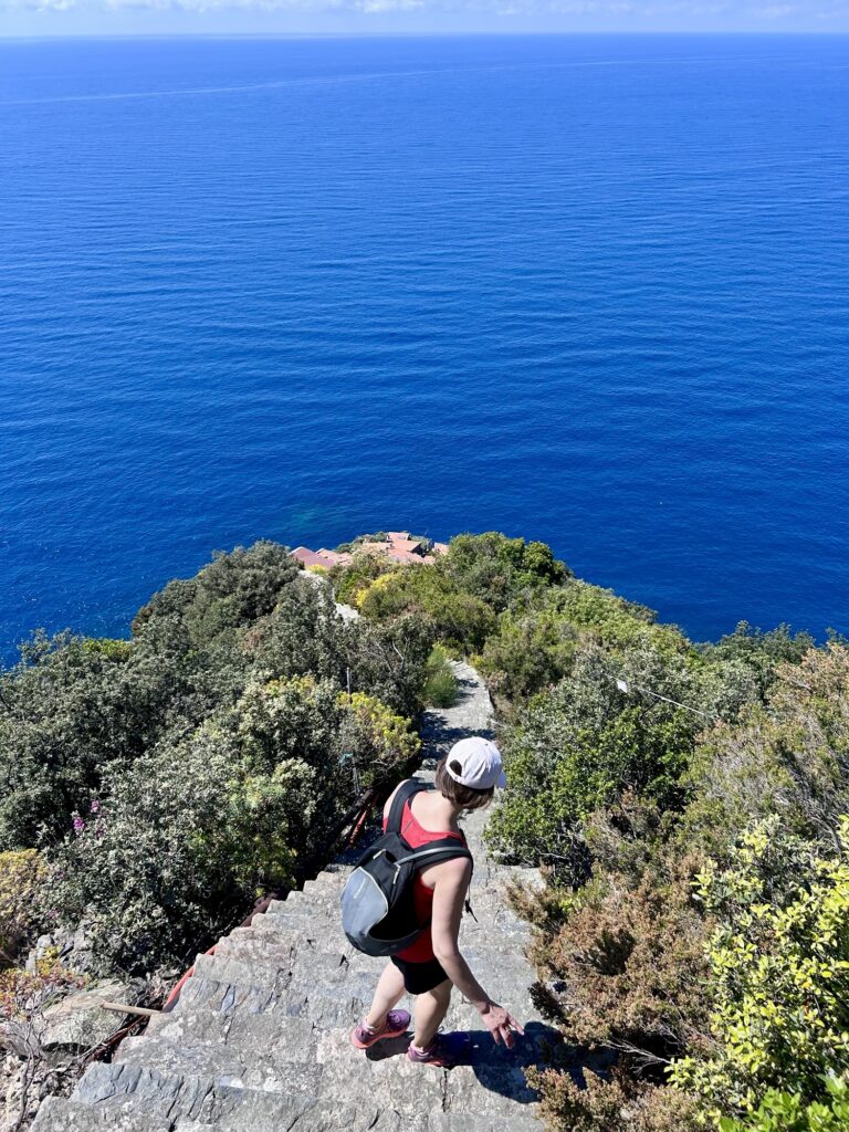 Monesteroli