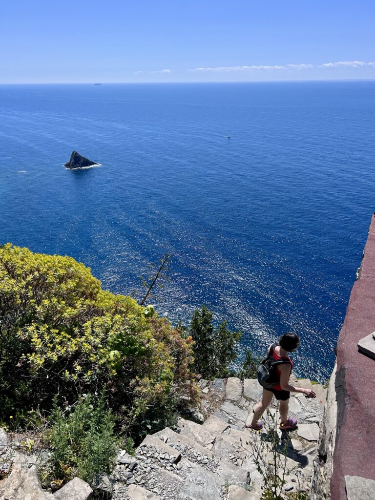 Monesteroli