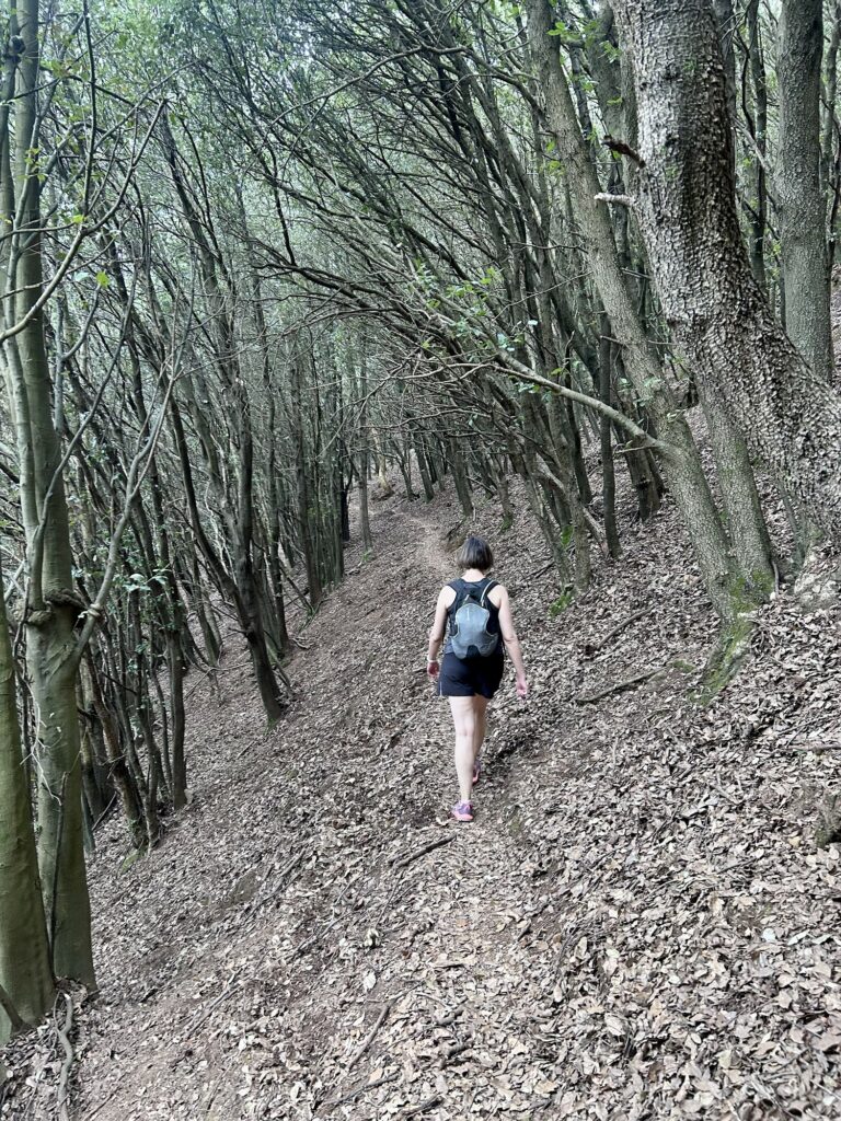 Sentier AV5T