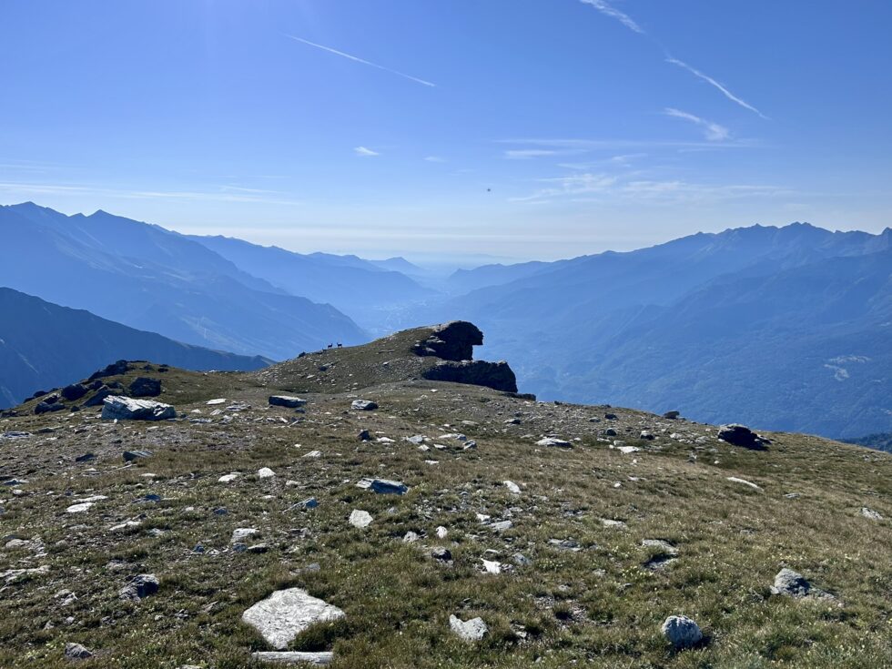 Bouquetins devant la plaine du Pô - Refuge Vaccarone