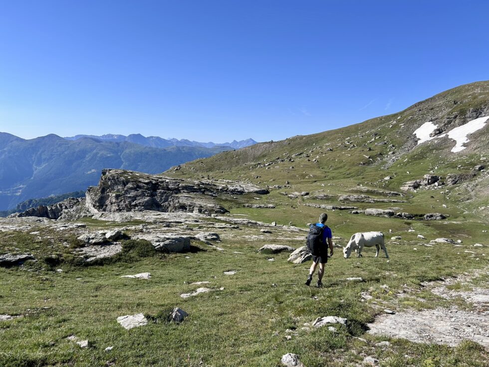 Vache - descente Col Clapier - Dents d'Ambin