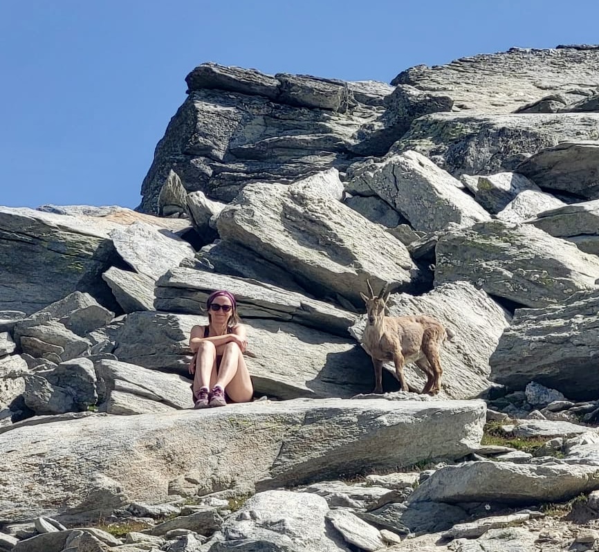 Bouquetin - col d'Ambin - Dents d'Ambin